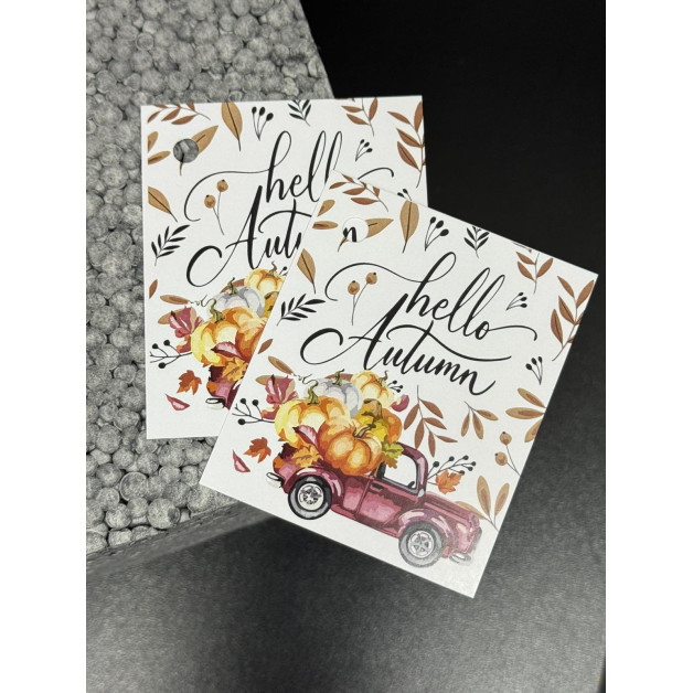 Бірка НР 10 шт, 5*4,5 см; 4,5*7 см; 5*7 см.№11