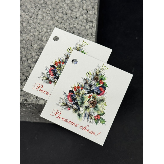 Бірка НР 10 шт, 5*4,5 см; 4,5*7 см; 5*7 см.№17