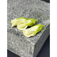 Бутон троянди №3 СВІТЛО-ЗЕЛЕНИЙ