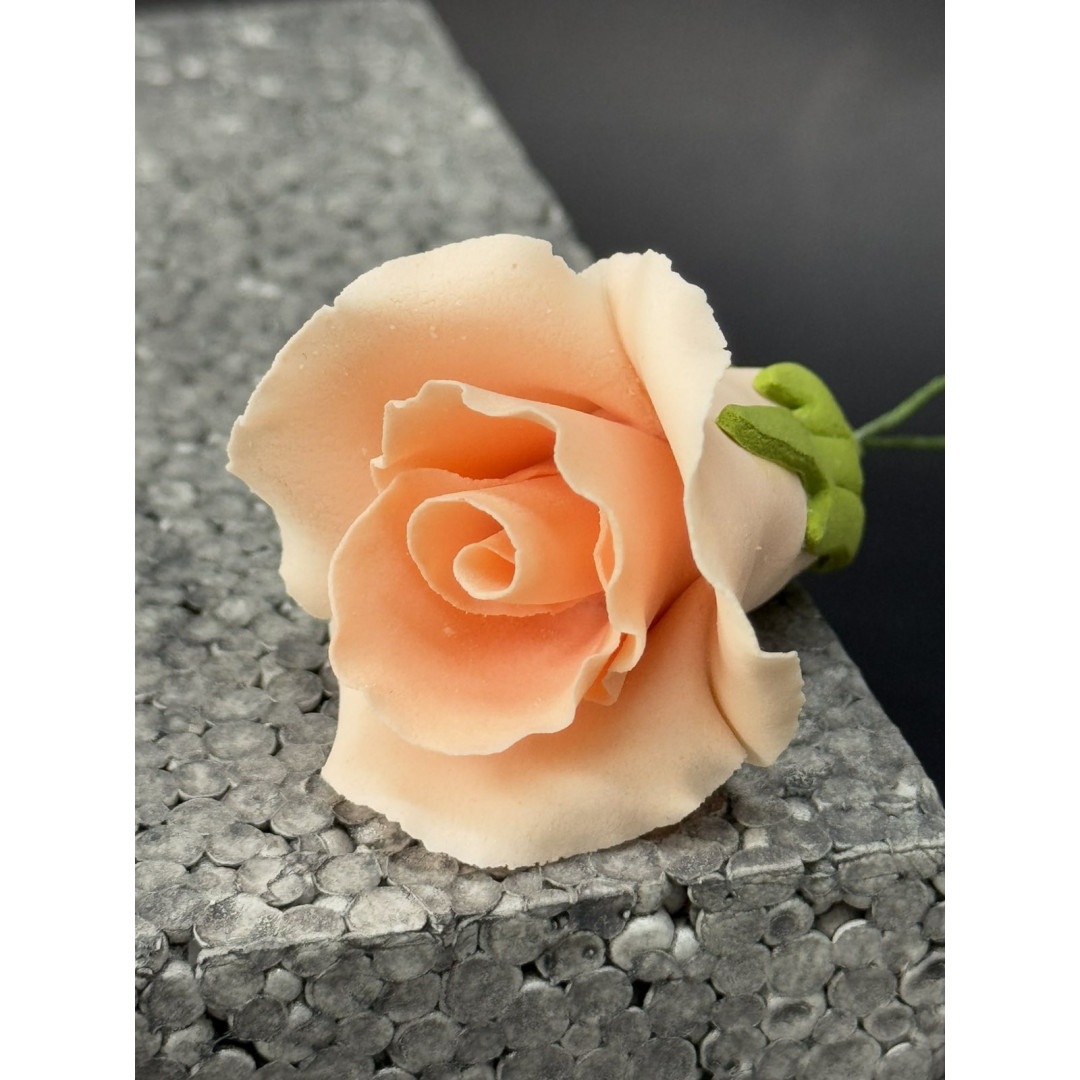 Бутон троянди №5 ПЕРСИКОВИЙ