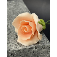 Бутон троянди №5 ПЕРСИКОВИЙ