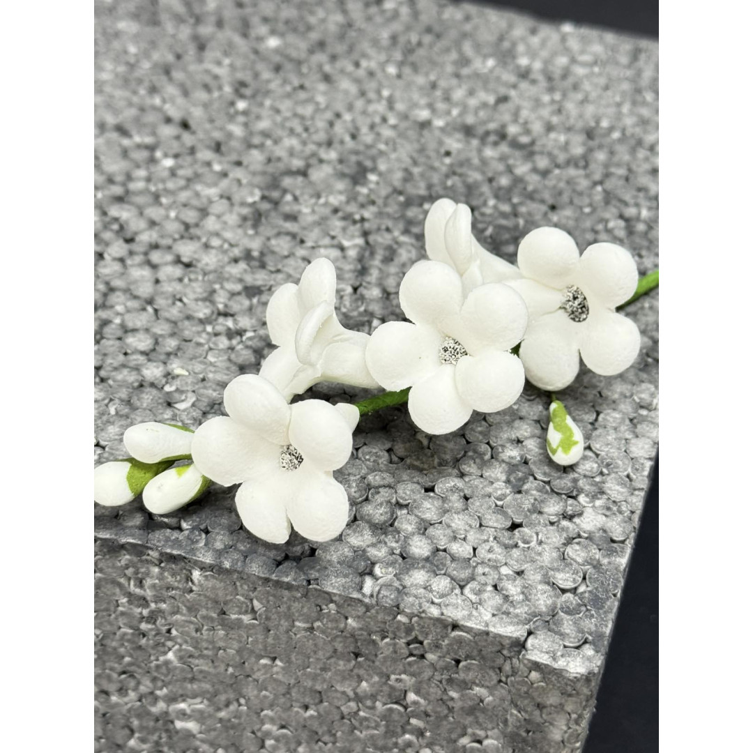 Гілочка  стефанотіса L-150