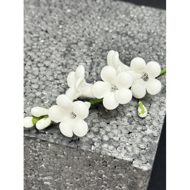 Гілочка  стефанотіса L-150