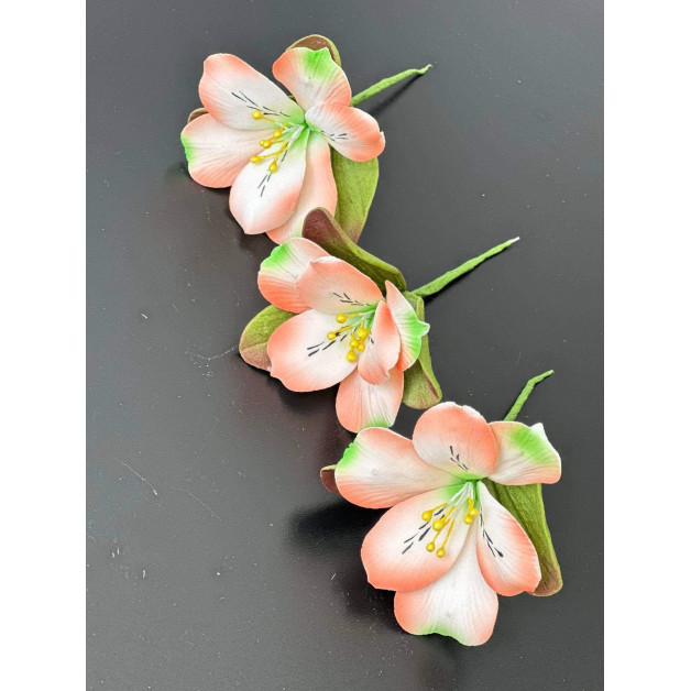 Квіти Альстромерії тоновані персикові 3 шт