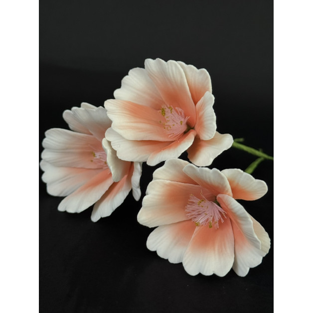 Квітка космея набір 3 шт персикова