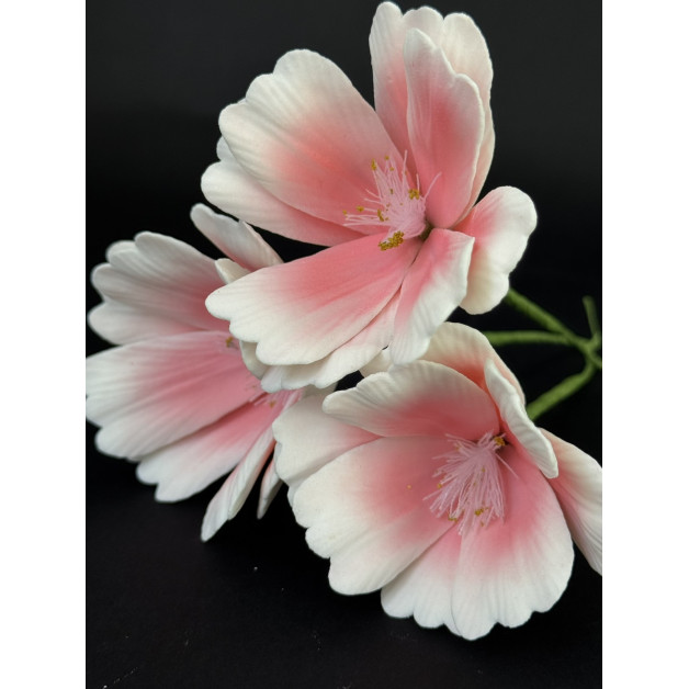 Квітка космея набір 3 шт світло рожева