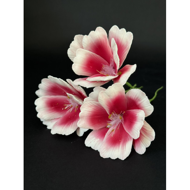 Квітка космея набір 3 шт темно рожевий