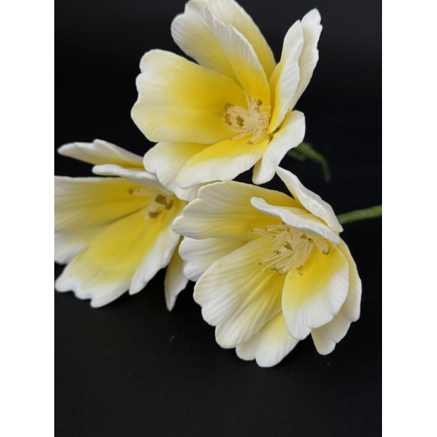 Квітка космея набір 3 шт жовта