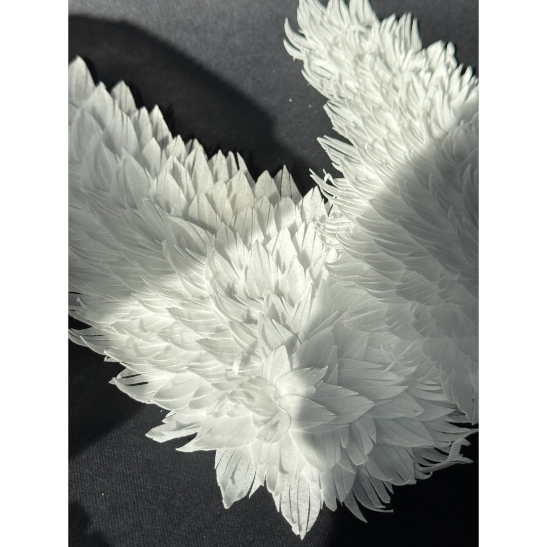 Набір "Вафельні крила"