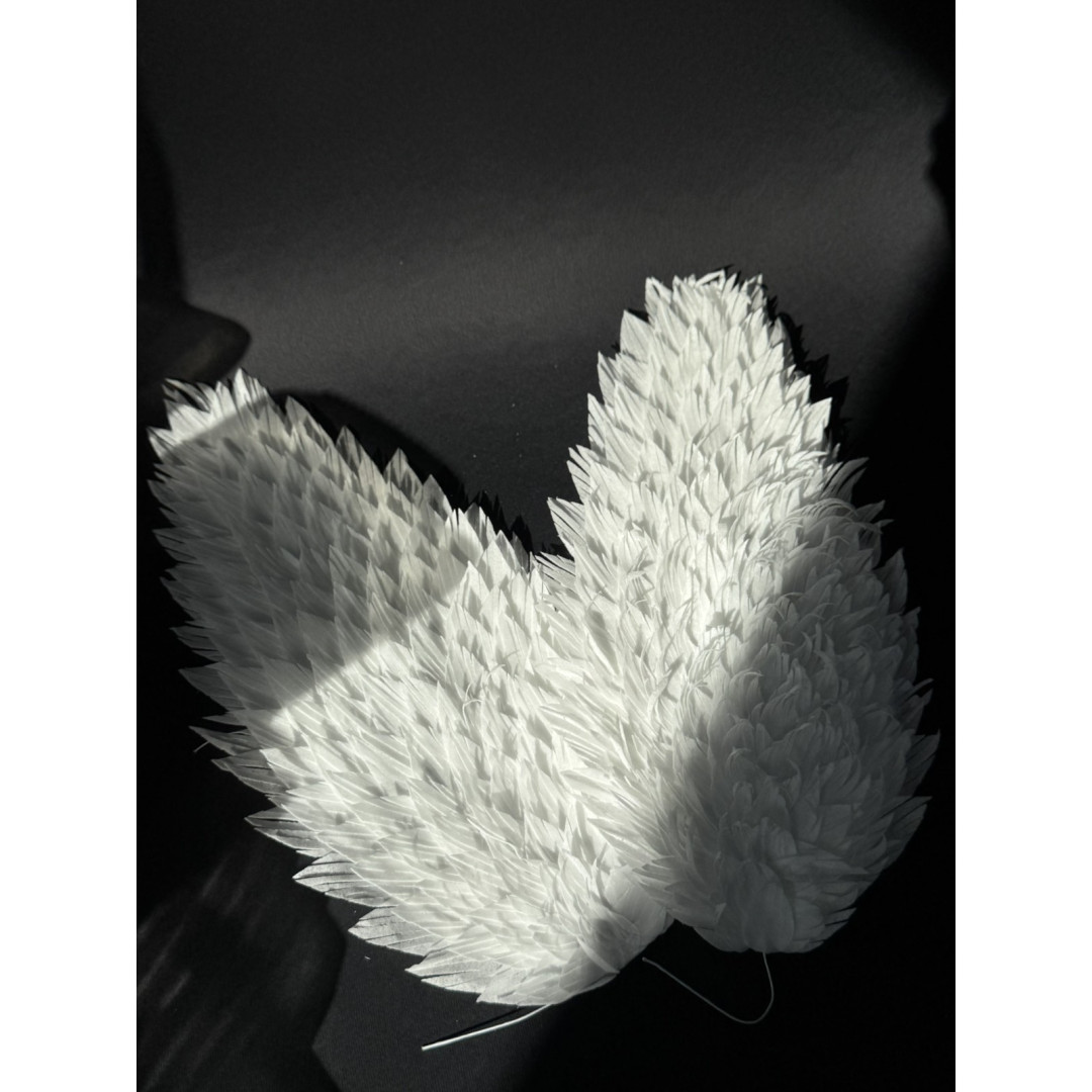 Набір "Вафельні крила" 30 см