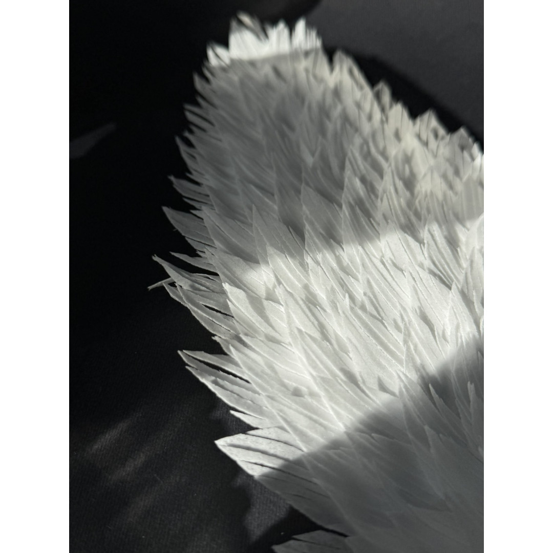 Набір "Вафельні крила" 30 см