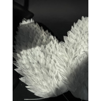 Набір "Вафельні крила" 30 см