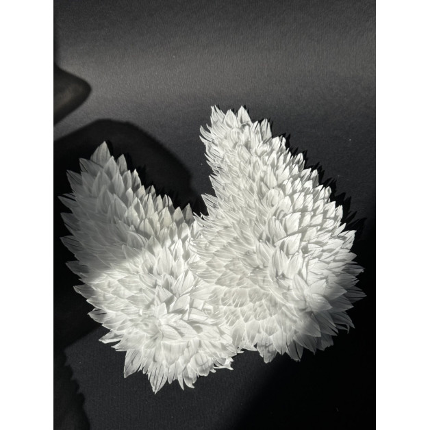 Набір "Вафельні крила"