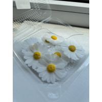 Набір "Вафельні ромашки на дротику 9 шт"