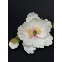 Піон Д90мм з бутонами (сладо) Уточняйте колір в кометарях.