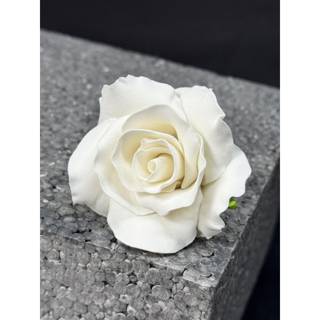 Троянда №2 біла