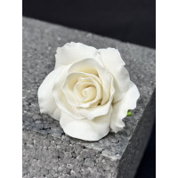 Троянда №2 біла