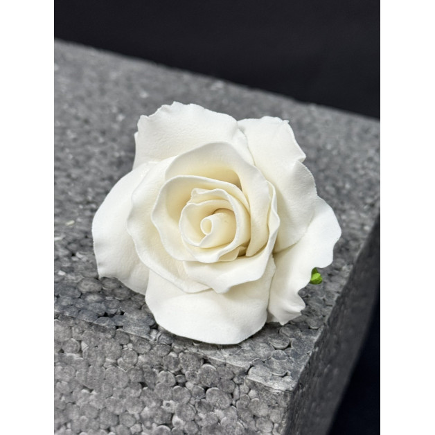 Троянда №2 біла