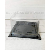 Упаковка пласт. бенто 10 шт 10*10 см