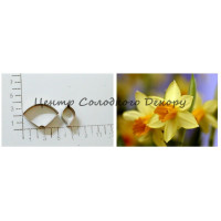 Вирубка метал нарцис пелюски