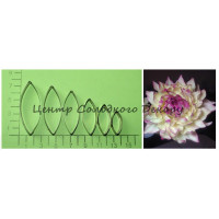 Вирубка метал пелюстки георгіна