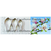 Вирубка метал пелюстки магнолія