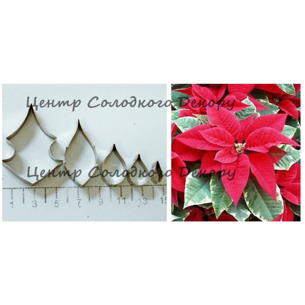 Вирубка метал пуансетія