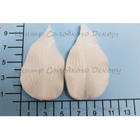 вайнер Листок Хости