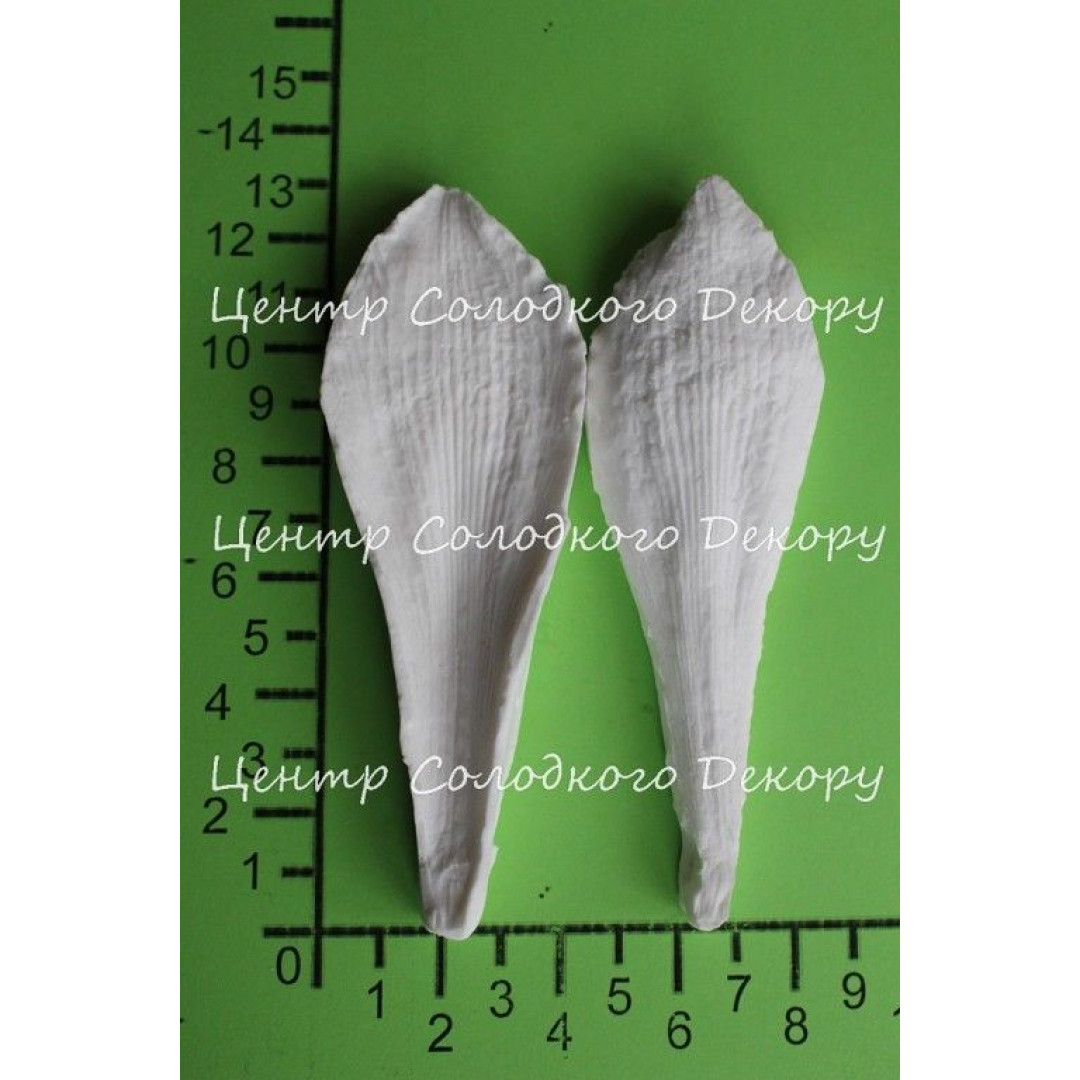 вайнер амариліс пелюстка 1 менша