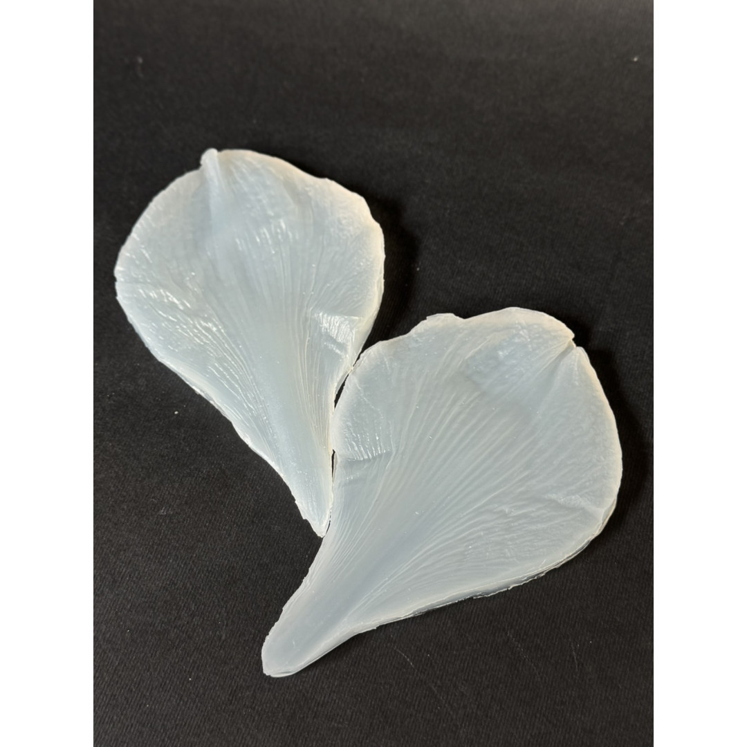 вайнер амариліс пелюстка 2 велика