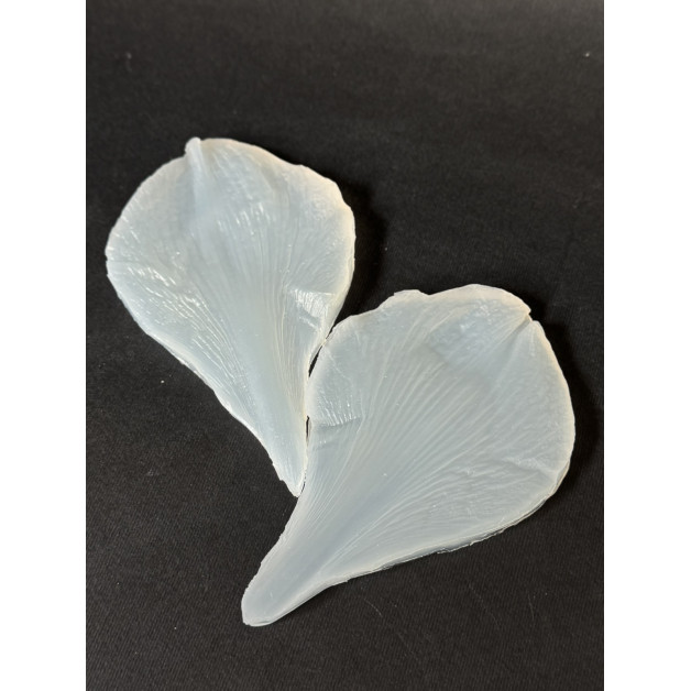 вайнер амариліс пелюстка 2 велика