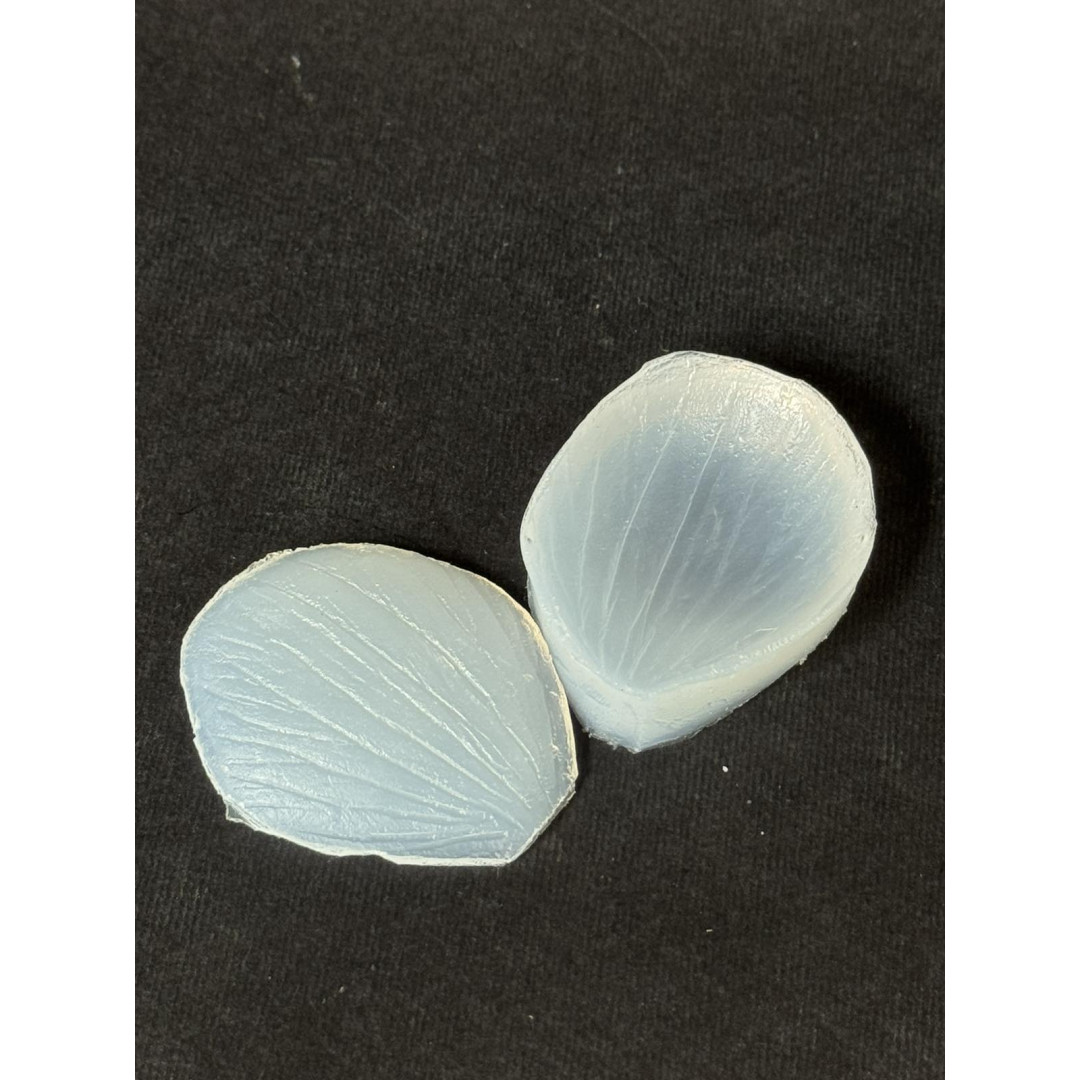 вайнер анемон пелюстка