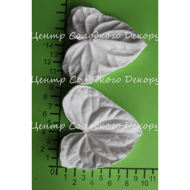 вайнер антуріум великий