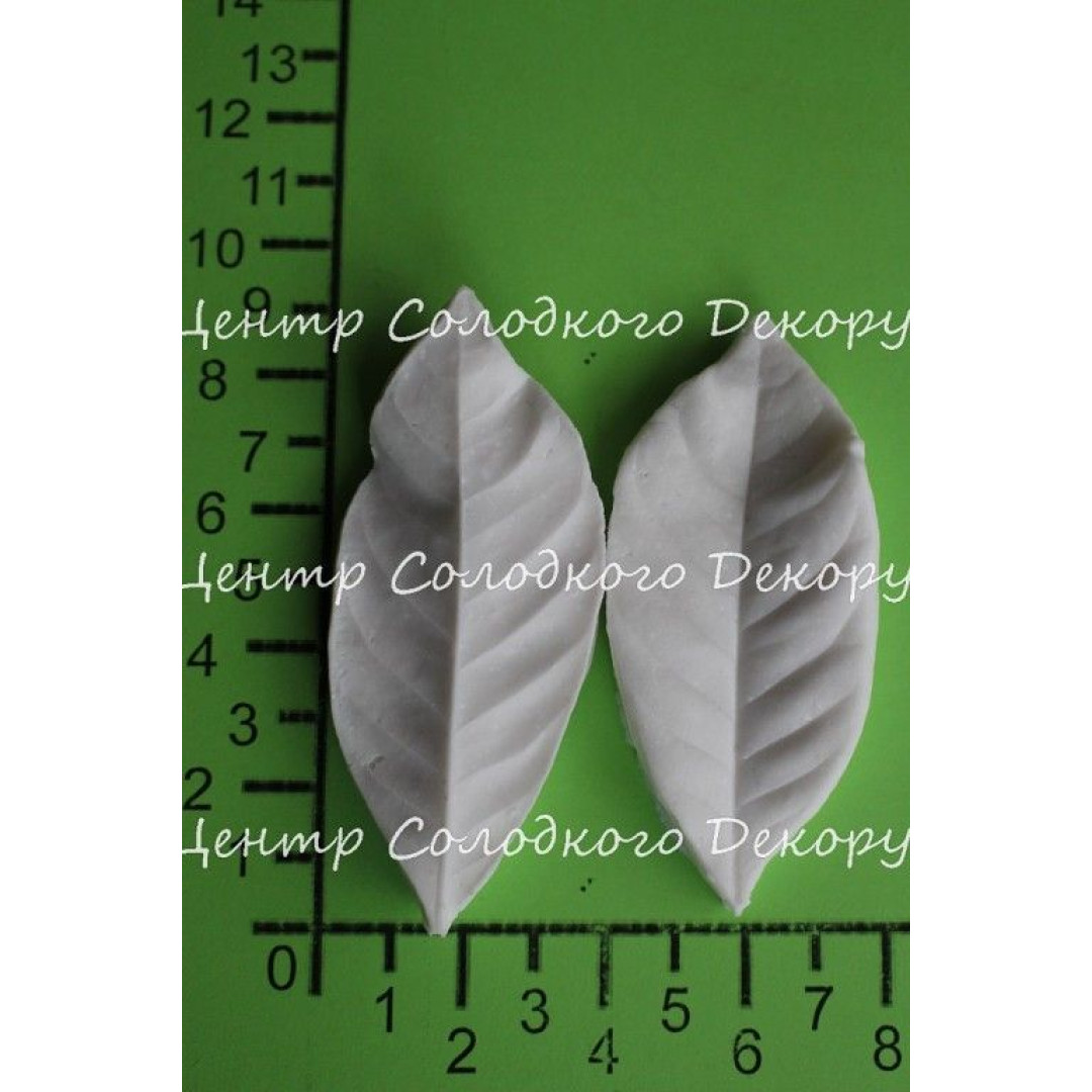 вайнер гарденії листок