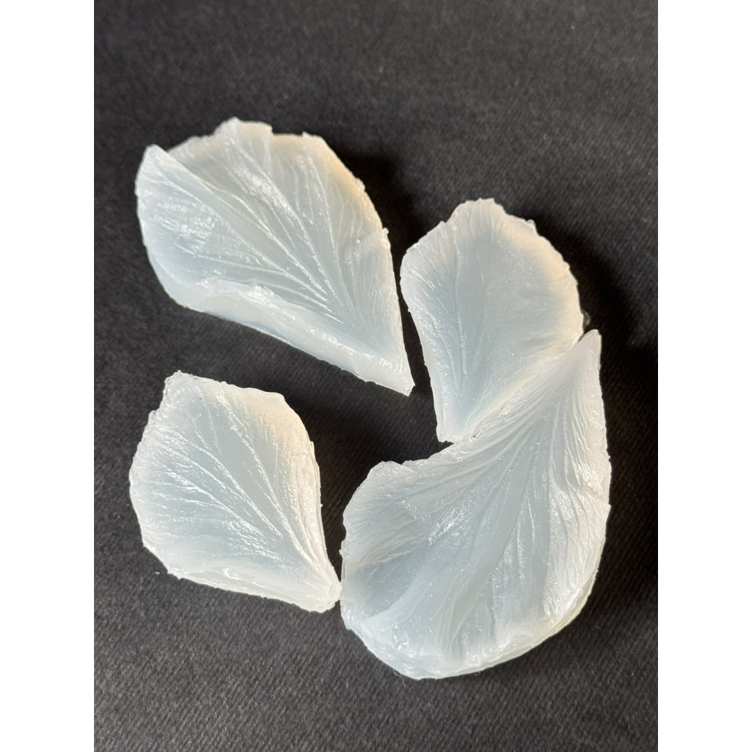 вайнер гібіскус 2-х пелюстка