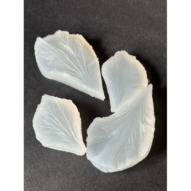 вайнер гібіскус 2-х пелюстка