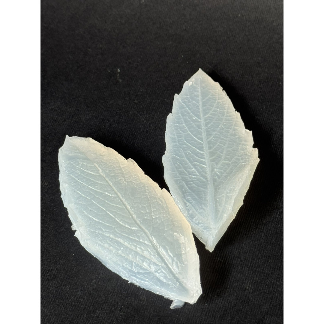 вайнер георгін листок