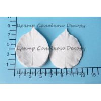 вайнер гортензії листок великий