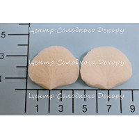 вайнер гортензії пелюстка