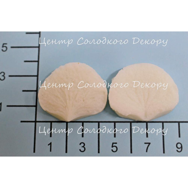 вайнер гортензії пелюстка