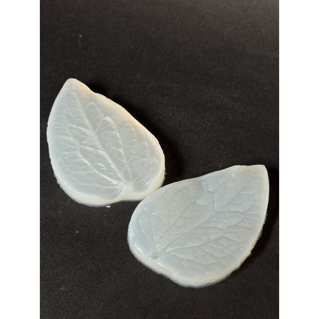 вайнер гіперікуму листок