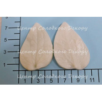 вайнер клематіс листок