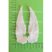 вайнер листок бегонії довгий