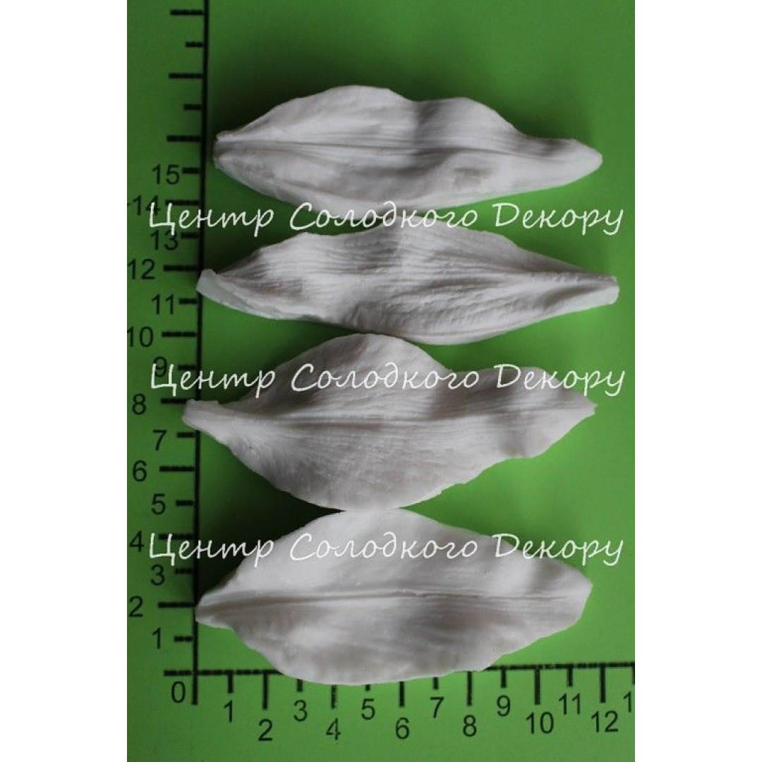 вайнер лілія касабланка пелюстка