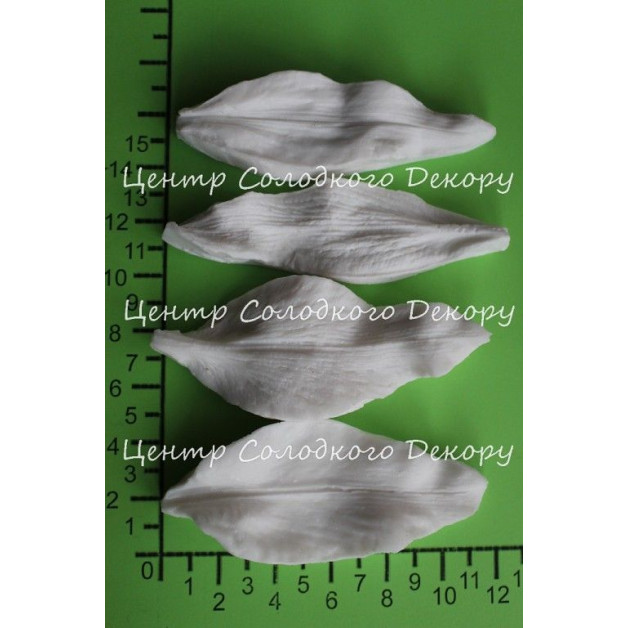 вайнер лілія касабланка пелюстка