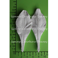 вайнер лілія регал пелюстка