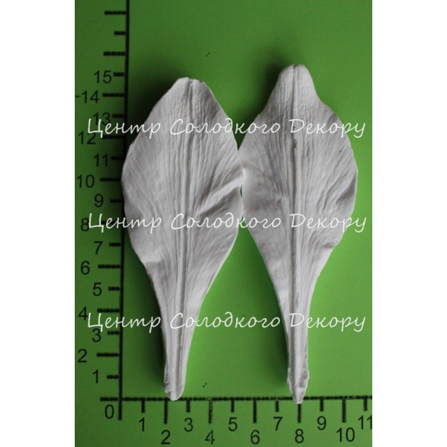 вайнер лілія регал пелюстка