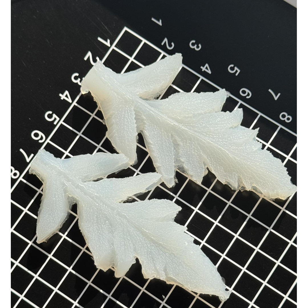 вайнер мак листок