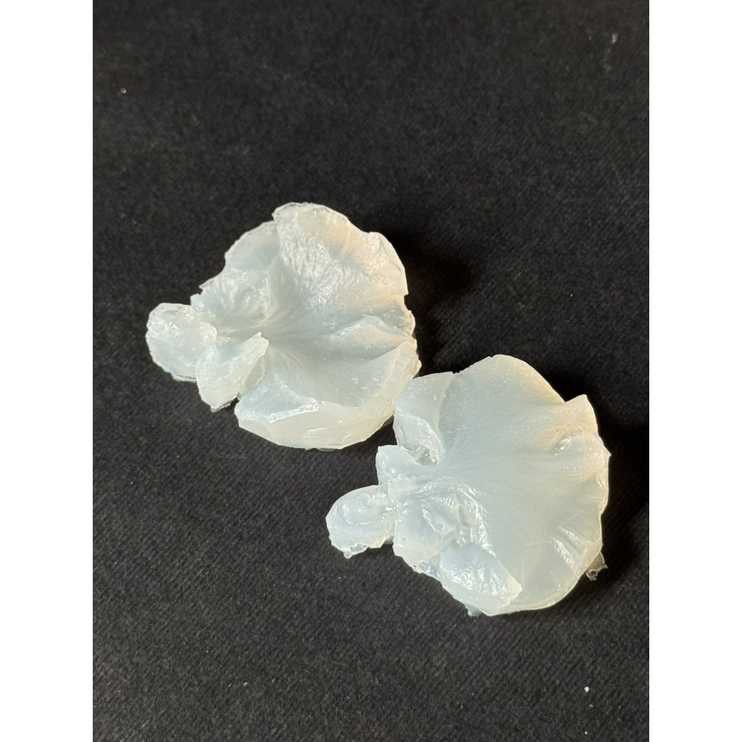 вайнер орхідея онцидіум