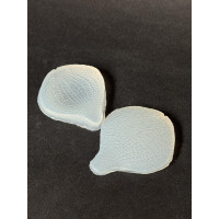 вайнер орхідея ванда 2